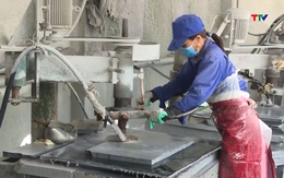 Quy định một số điều của Luật Việc làm về chính sách hỗ trợ tạo việc làm