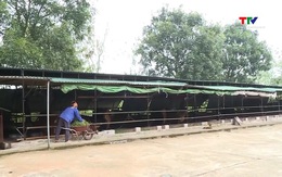 Diễn biến thời tiết dịp nghỉ Tết Dương lịch 2026