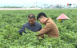 Số hóa vùng trồng, tăng sức cạnh tranh cho nông sản 