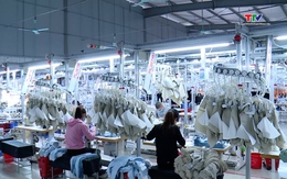 Hỗ trợ, đồng hành cùng doanh nghiệp thực hiện chính sách thuế