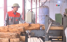 Xuất khẩu gỗ và lâm sản đạt 18,5 tỷ USD trong năm 2025 