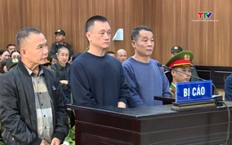 Xét xử Nguyễn Văn Vi (tức Vi “ngộ”) về tội “Đưa hối lộ”