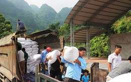 Hỗ trợ gạo dự trữ quốc gia cho công tác bảo vệ, phát triển rừng