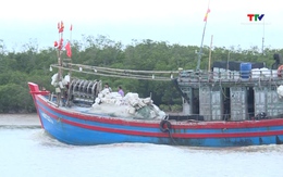 Đề xuất các phương án xác định chi phí bảo trì kết cấu hạ tầng đường thủy