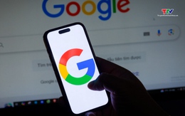 Hai xu hướng nổi bật tại Việt Nam dẫn đầu nhiều hạng mục tìm kiếm của Google 