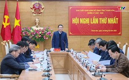 Hội nghị lần thứ nhất Ban Chấp hành Đảng bộ UBND tỉnh