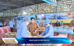 Bản tin Doanh nghiệp doanh nhân ngày 26/02/2025