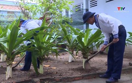 Ươm lên màu xanh nơi biển đảo