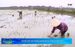 Bản tin Nông nghiệp nông thôn ngày 08/02/2025