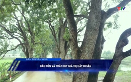 Bản tin Văn hóa ngày 12/03/2025