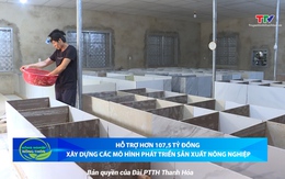 Bản tin Nông nghiệp - Nông thôn ngày 05/03/2025