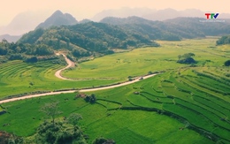 Top 10 thành phố và Top 5 khu vực hiếu khách nhất Việt Nam