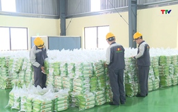 Giá gạo xuất khẩu tiếp tục giữ đà tăng