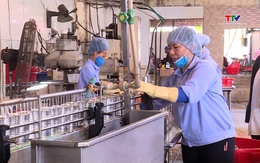 Kinh tế tư nhân đóng góp gần 59% GRDP của Thanh Hóa