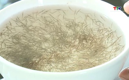 Các cơ sở sản xuất, di ương hơn 1,8 tỷ con giống thủy sản