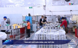 Bản tin Tài chính – Thị trường 11/5/2025