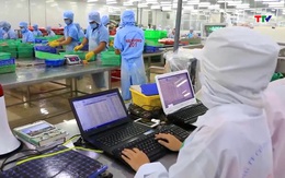 Ứng dụng chuyển đổi số trong ngành nghề chế biến thủy, hải sản