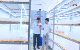 Hậu Lộc đẩy mạnh phát triển doanh nghiệp