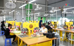 Thành phố Thanh Hóa thành lập mới 401 doanh nghiệp