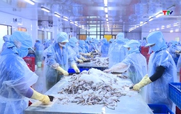 Ưu tiên nguồn vốn hỗ trợ phát triển sản xuất, kinh doanh