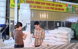 Dự báo Việt Nam sẽ là nước xuất khẩu và nhập khẩu gạo lớn thứ 2 thế giới