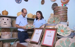 Hợp tác xã Tân Thọ - điển hình trong phát triển nghề nông thôn