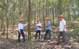 Tỷ lệ che phủ rừng của Thanh Hóa ước hết năm 2025 đạt 54%