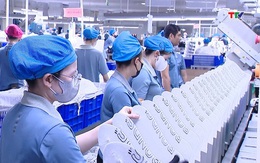 Doanh nghiệp Thanh Hóa thúc đẩy sản xuất, tiêu thụ sản phẩm