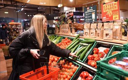 EU cắt giảm mạnh dự báo tăng trưởng của khu vực đồng euro