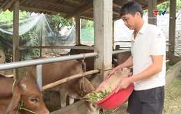 Hiệu quả chương trình đầu tư tín dụng theo Nghị quyết 30a