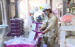 Kế hoạch hành động của Chính phủ về phát triển kinh tế tư nhân