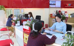 Công bố công cụ hỗ trợ phát triển tín dụng xanh