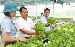 Thanh Hóa phát triển được 79 chuỗi liên kết tiêu thụ rau, quả an toàn