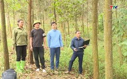 Việt Nam thuộc nhóm "rủi ro thấp" trong Quy định chống phá rừng của EU
