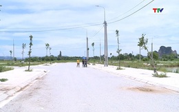 Thị trường đất nền tăng trưởng nóng
