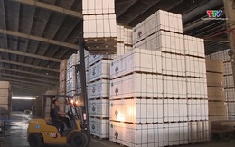 Xuất nhập khẩu đạt trên 313 tỷ USD