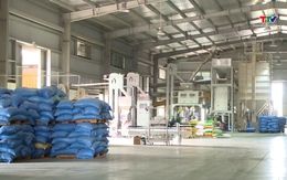 Xuất khẩu gạo khó tăng bởi áp lực nguồn cung