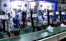 Thúc đẩy xuất khẩu gạo thơm chất lượng cao