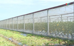 Thanh Hóa phát triển nông nghiệp thông minh