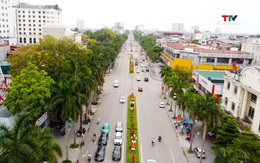 Chiều ngang qua phố