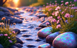 Truyện ngắn “Đá huyết rồng” | Lữ Mai | TTV Podcast