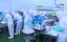 Kim ngạch xuất khẩu hàng hóa tăng trưởng tích cực