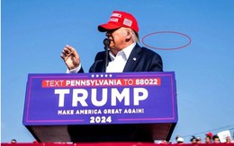 Giải báo chí Pulitzer 2025: New York Times và New Yorker dẫn đầu với 7 giải thưởng