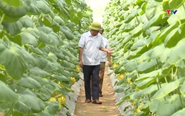Áp dụng khoa học - kỹ thuật, máy móc hiện đại để tối ưu hóa quy trình sản xuất nông nghiệp