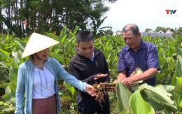 Vai trò của Hội Nông dân trong phát triển kinh tế tập thể, hợp tác xã