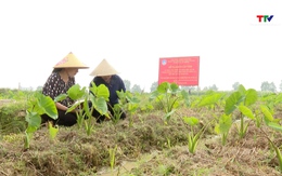Nâng cao chất lượng các nhiệm vụ khoa học công nghệ