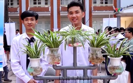 31 đội tranh tài tại chung kết Sáng kiến Khoa học 2025
