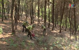 Dự báo và thông tin cấp dự báo cháy rừng từ ngày 7/5 - 9/5/2025