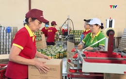 Nhiều tín hiệu tích cực trong xuất khẩu nông, lâm, thuỷ sản