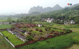 Dự án Nhà máy xi măng Thanh Sơn dừng thi công hàng chục năm
